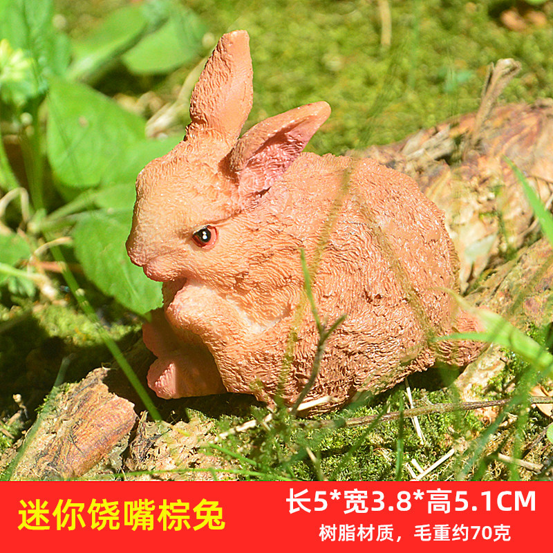 迷你饶嘴棕兔.jpg