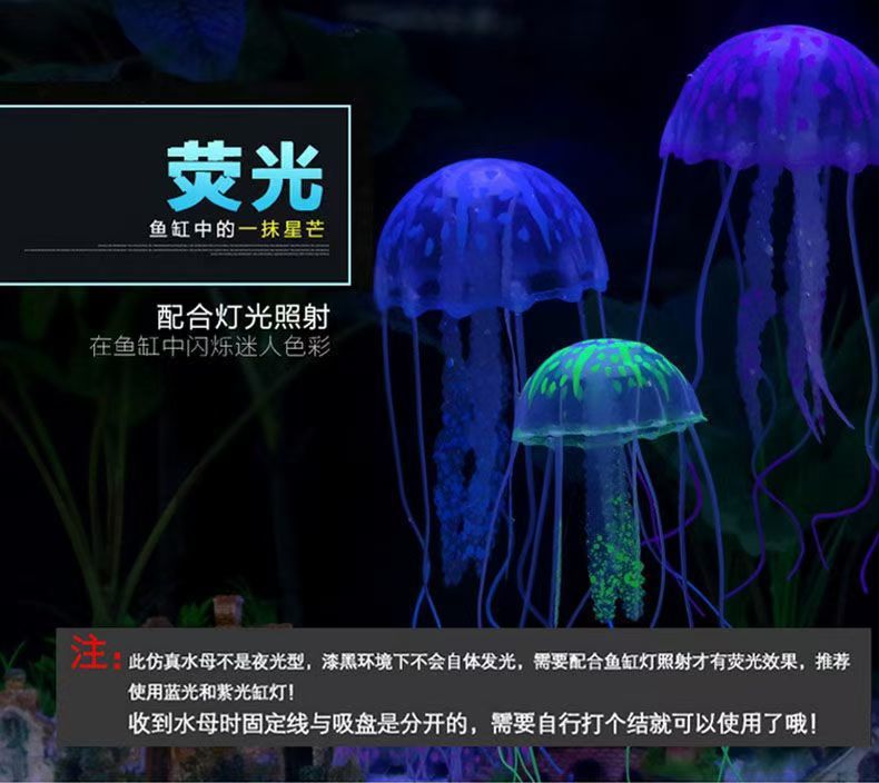 12a586c0-76a2-4a5c-8734-d62c48870715.jpe