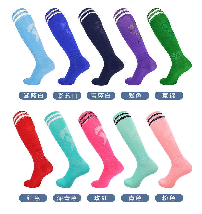 CDP503_05.jpg
