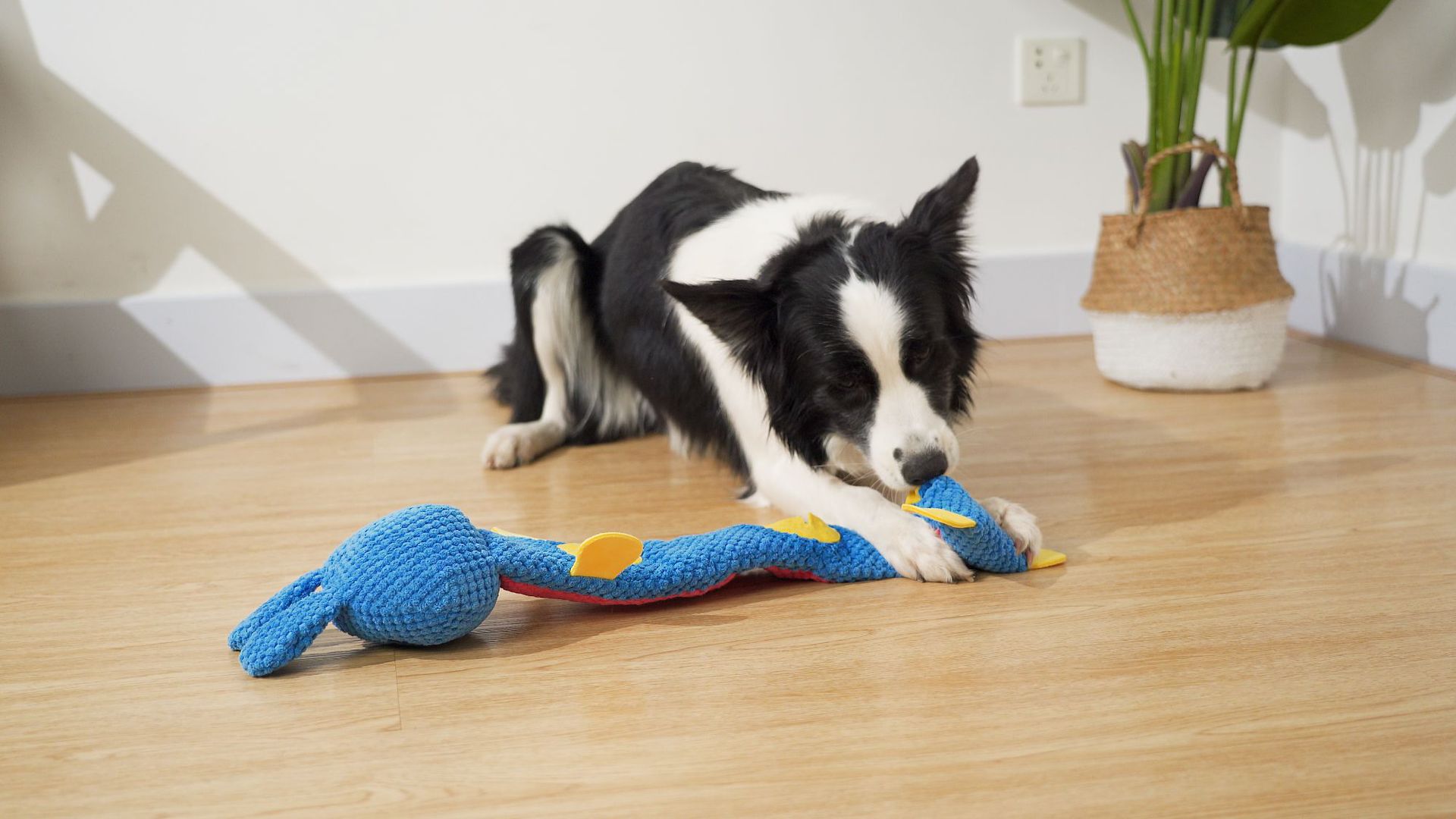 觅食兔子 (15).jpg