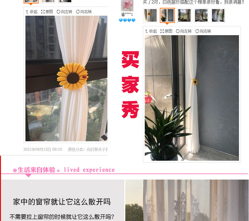 向日葵总链接_04