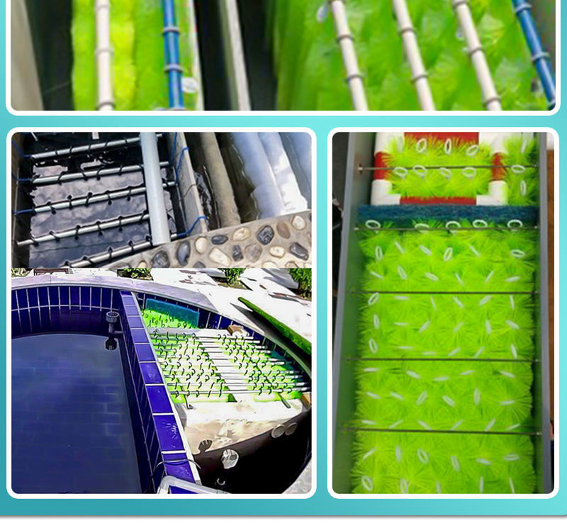 95dbac85-c29e-4963-80ca-472a1d8118d1.jpe