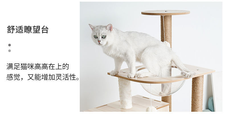 6dc858ab-ffe3-404f-9cf0-c804f7bf30d3.jpe