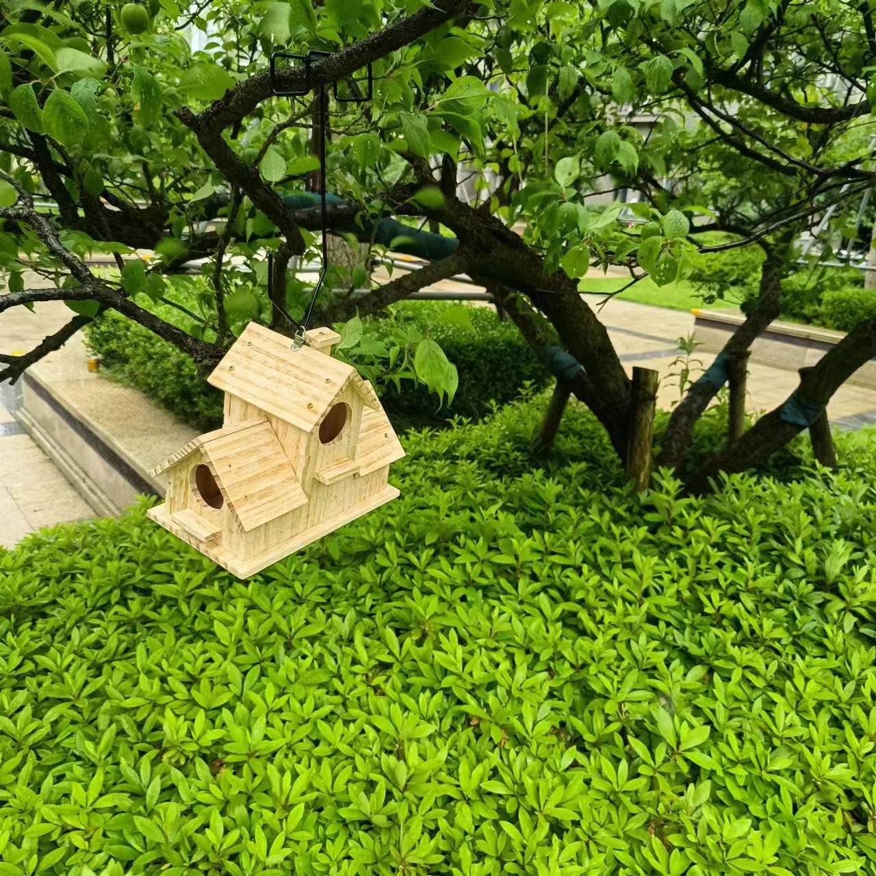 微信图片_20240531124903