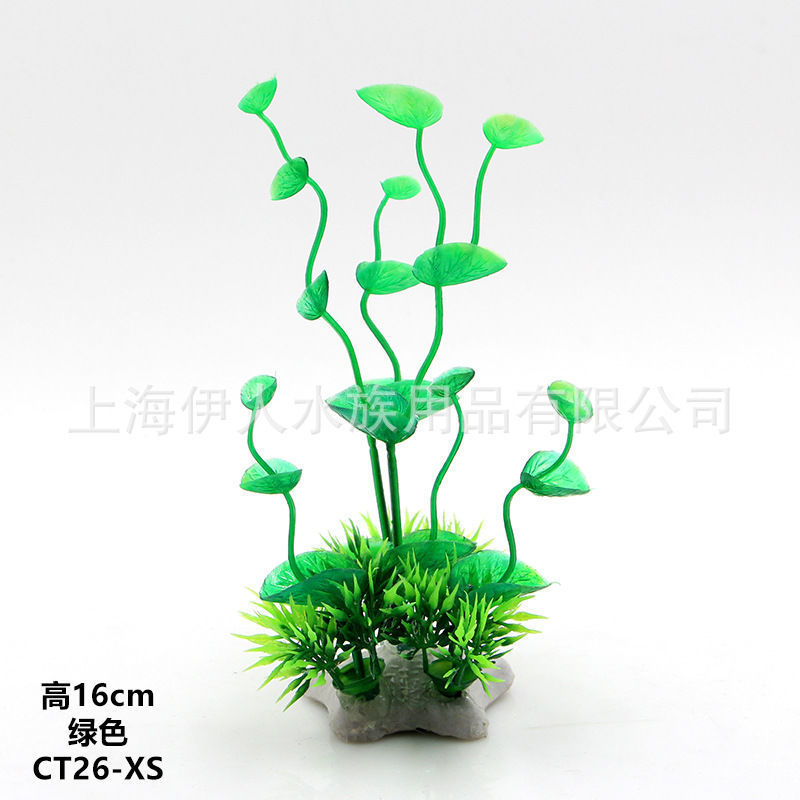 18fbef34-626c-471e-b422-00f36a4870bc.jpe