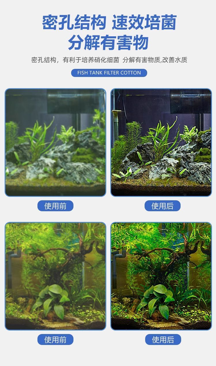 41572ef0-03b3-4ddf-8f6f-a2c7e98773b1.jpe