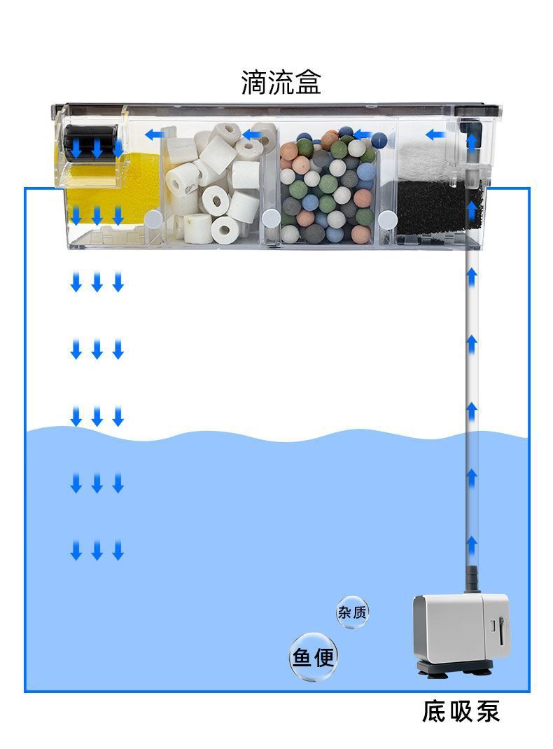 c9a36bf7-db61-4e72-a0cc-90779ea489b0.jpe