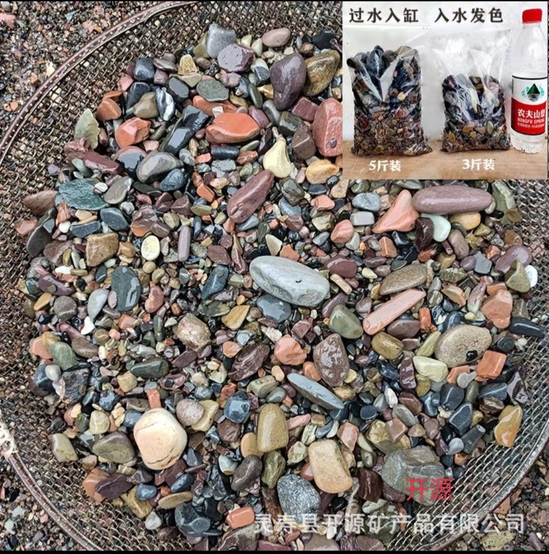 5ce4220b55479956a683792e79a618