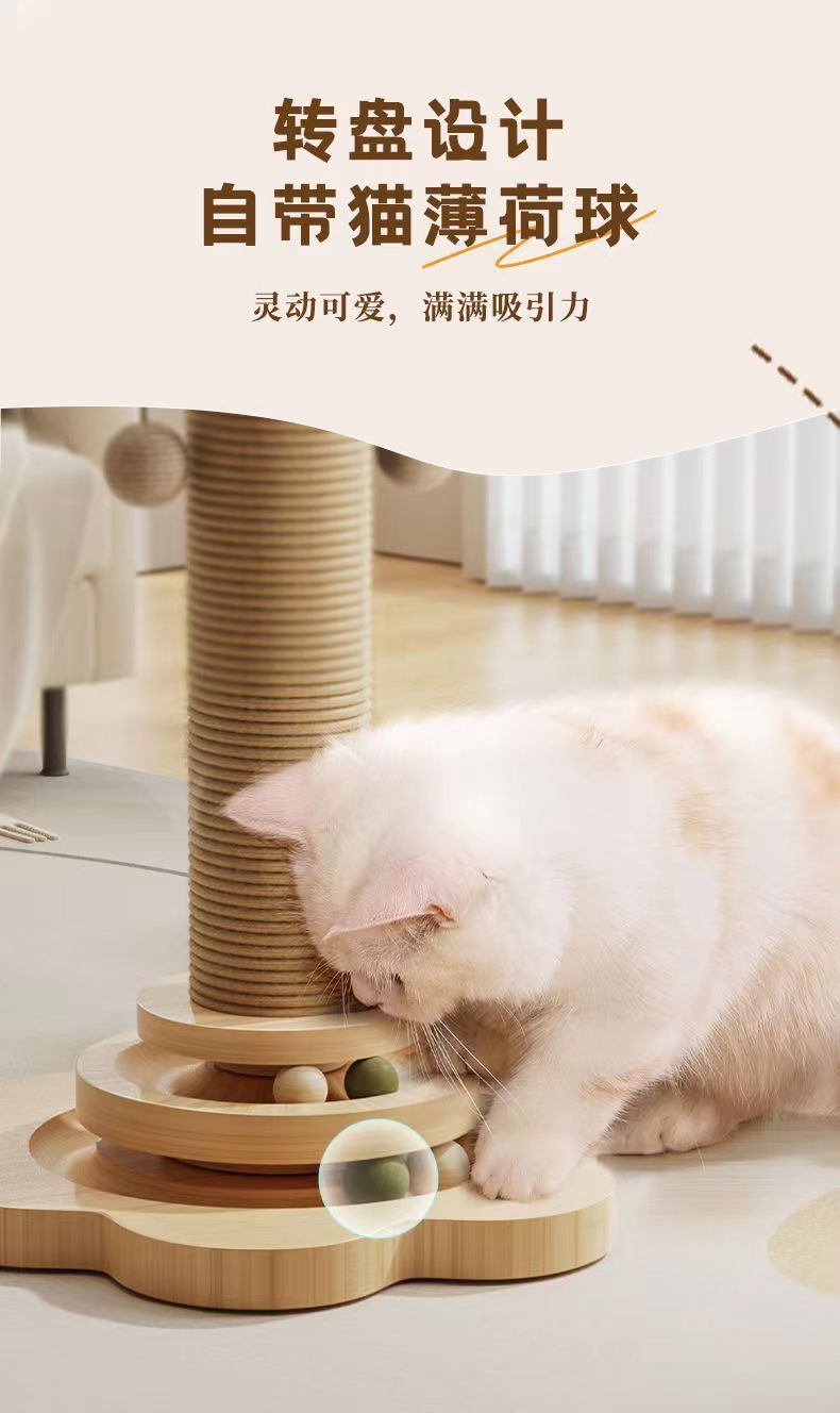 24df1b77-02f0-40f6-b2b7-af268a63b6f6.jpe