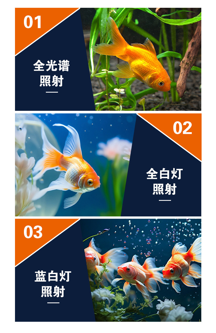 adb67454-83e4-4ec5-8802-ee6d6e343bdb.jpe