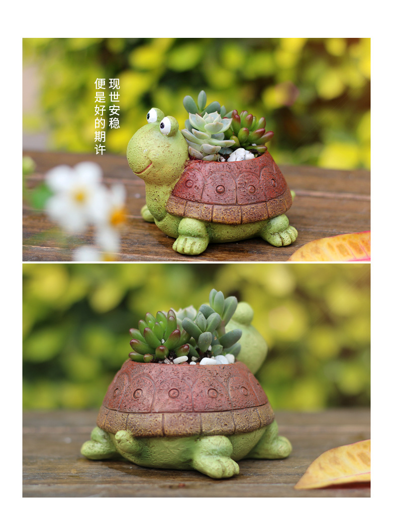 呆呆龟小花盆-790px详情页_02.jpg