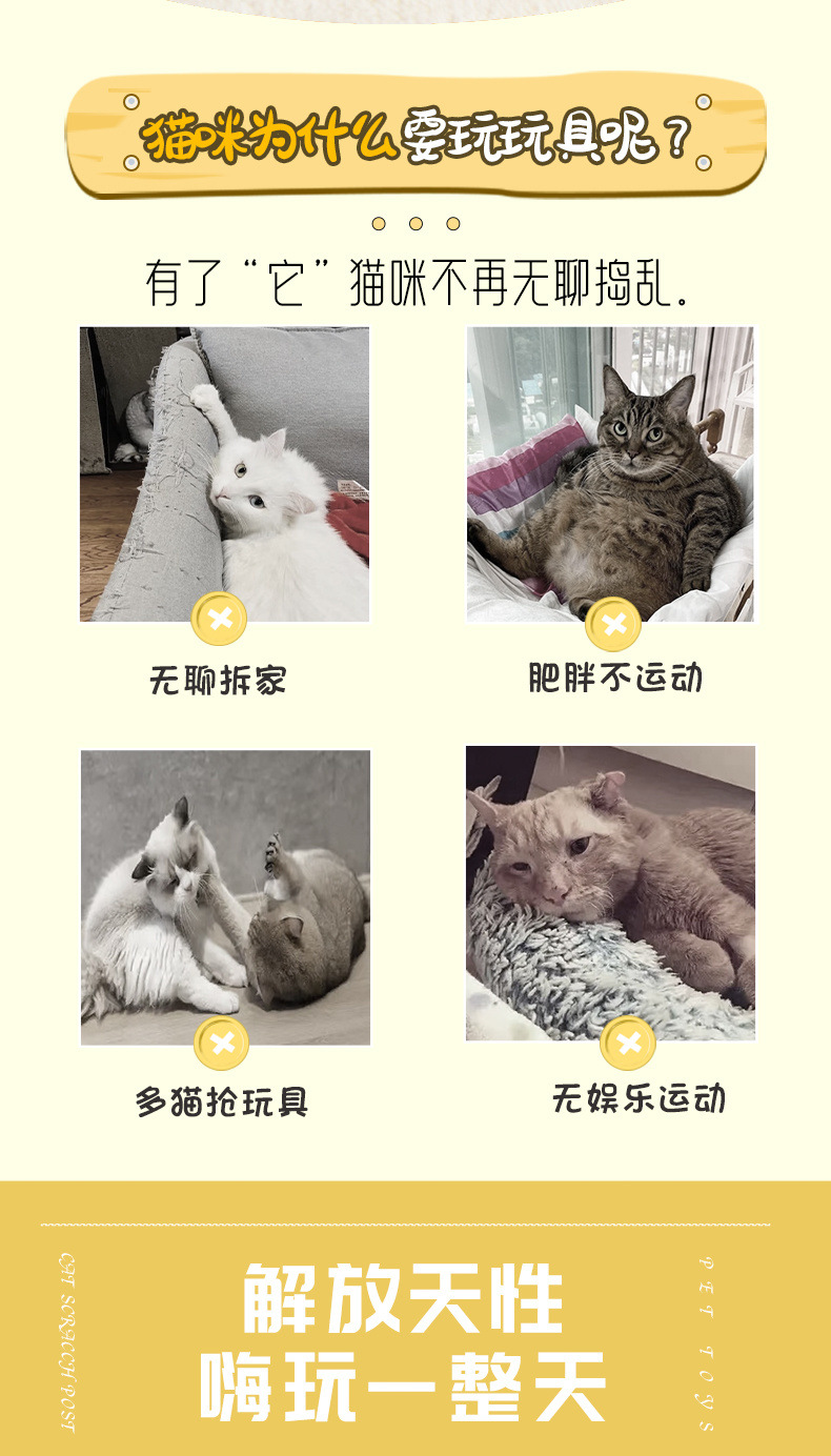 826bc075-a689-4b49-b155-ba6ce22f3d5e.jpe