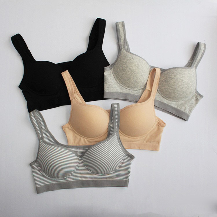 4388221223_1678674893