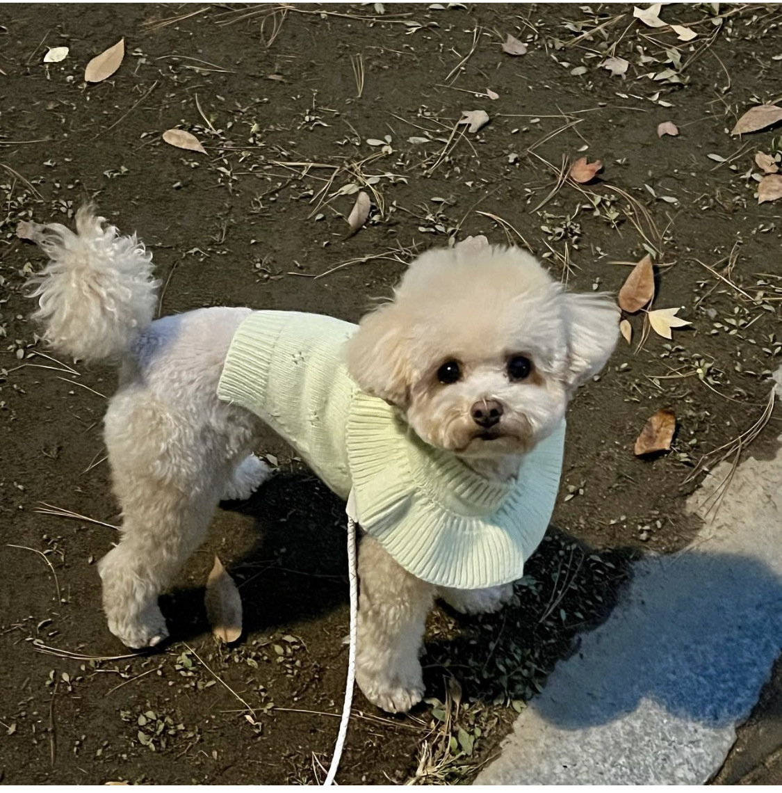 微信图片_20221115233942.jpg