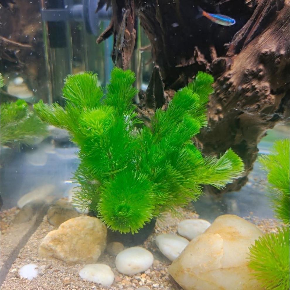 35dcfeaa-df7c-4885-b0fe-625494a6f979.jpe