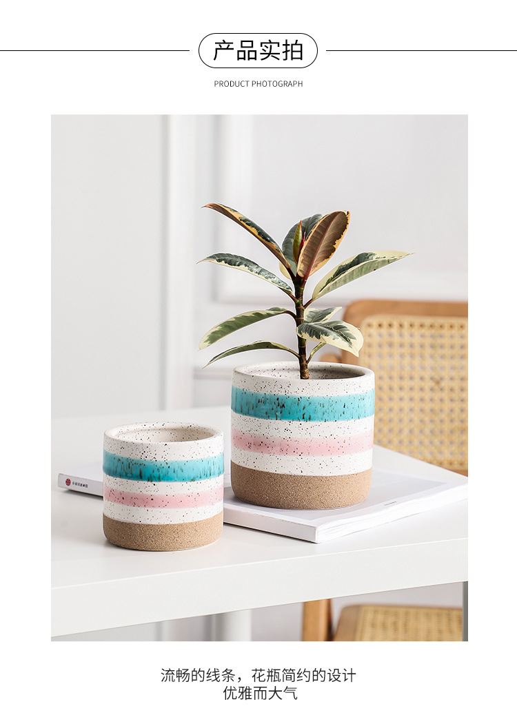 小清新彩虹花盆 5