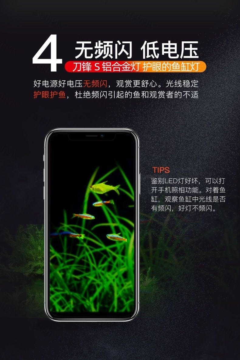 7bf8b544-b67a-45af-97f8-0ec60385b763.jpe