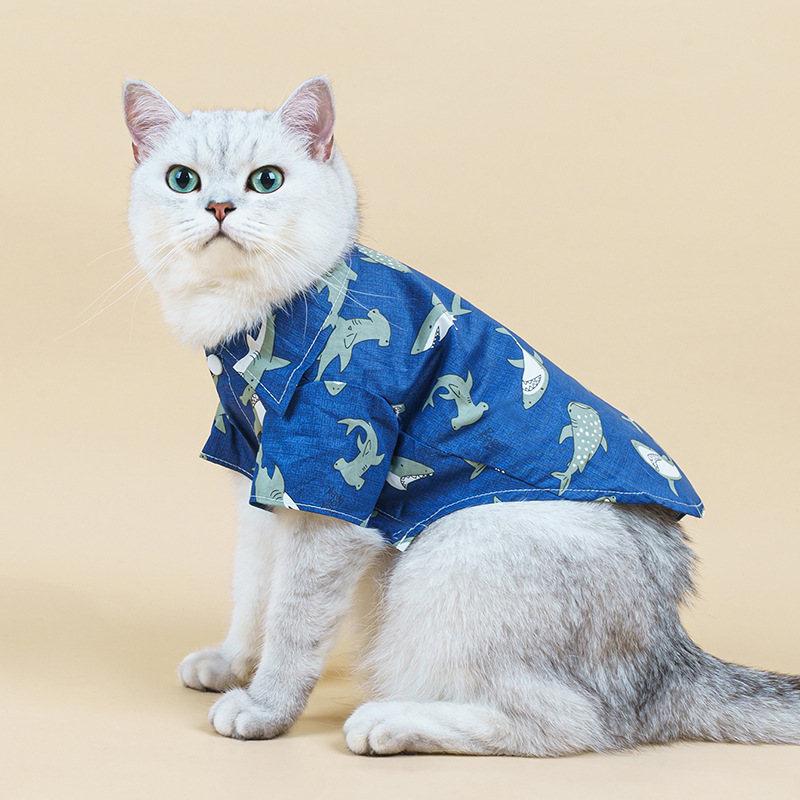 宠物衣服