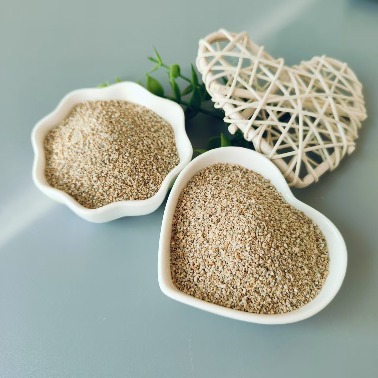 微信图片_20250205112646