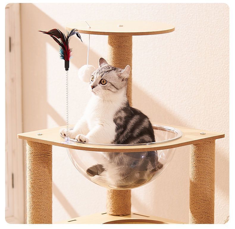 c6577716-3dd7-4e03-85db-daa684b9728c.jpe