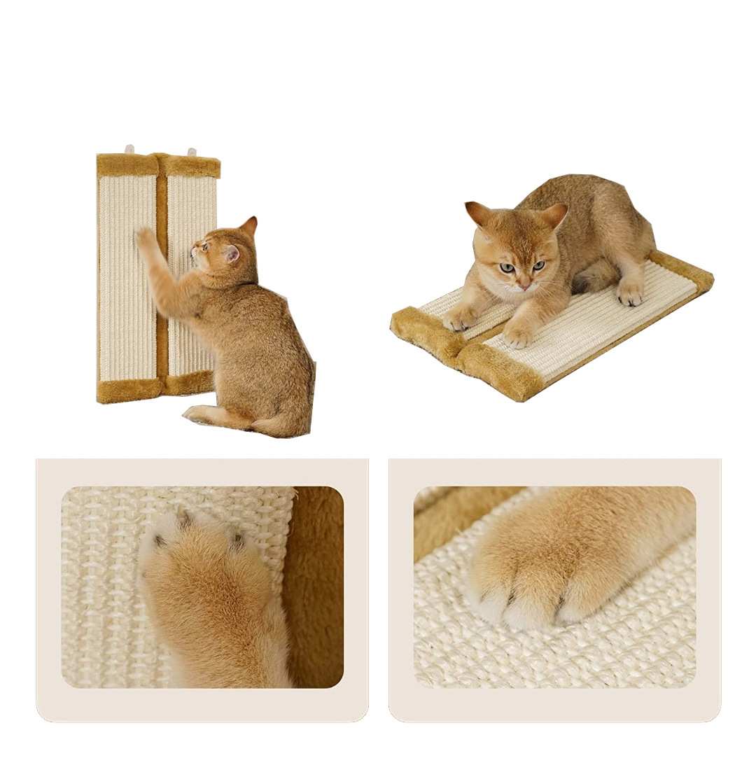 O1CN01FEWYa91ILFjH5eOXw_!!9648