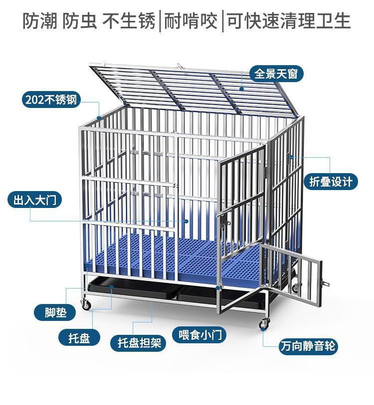 f81a87e9-dd3d-4da6-90b3-cf8de81f8a39.jpe