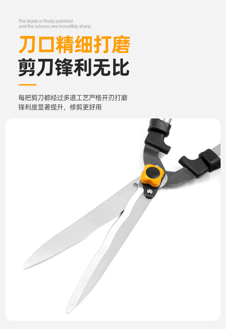 详情_03.jpg