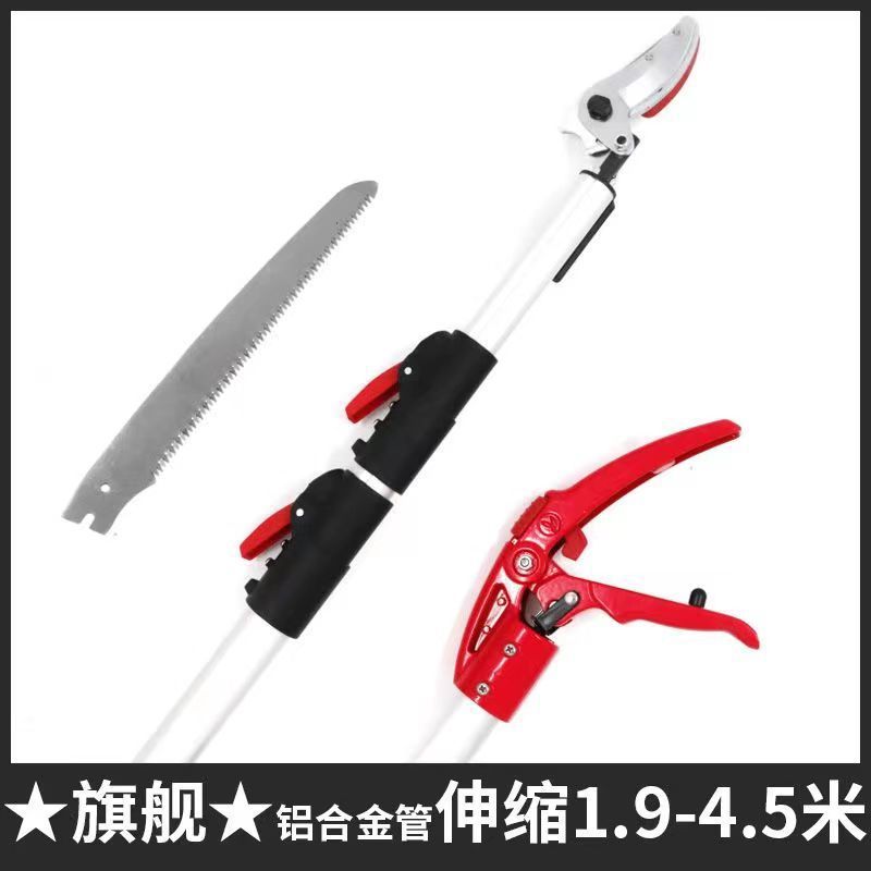 fe3f5304-cbff-4d4a-8063-acbc2342d9bf.jpe