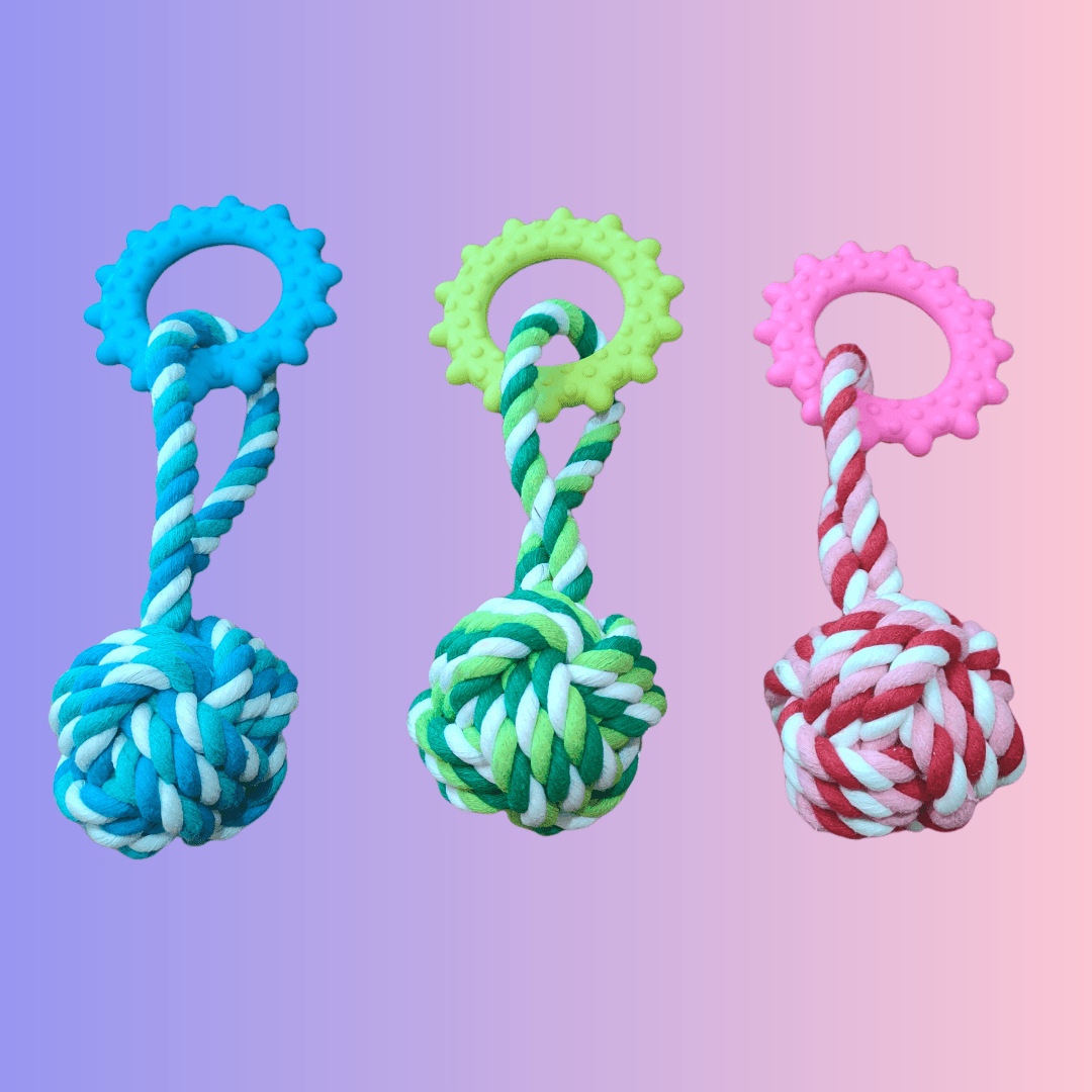 微信图片_20240424160110_副本