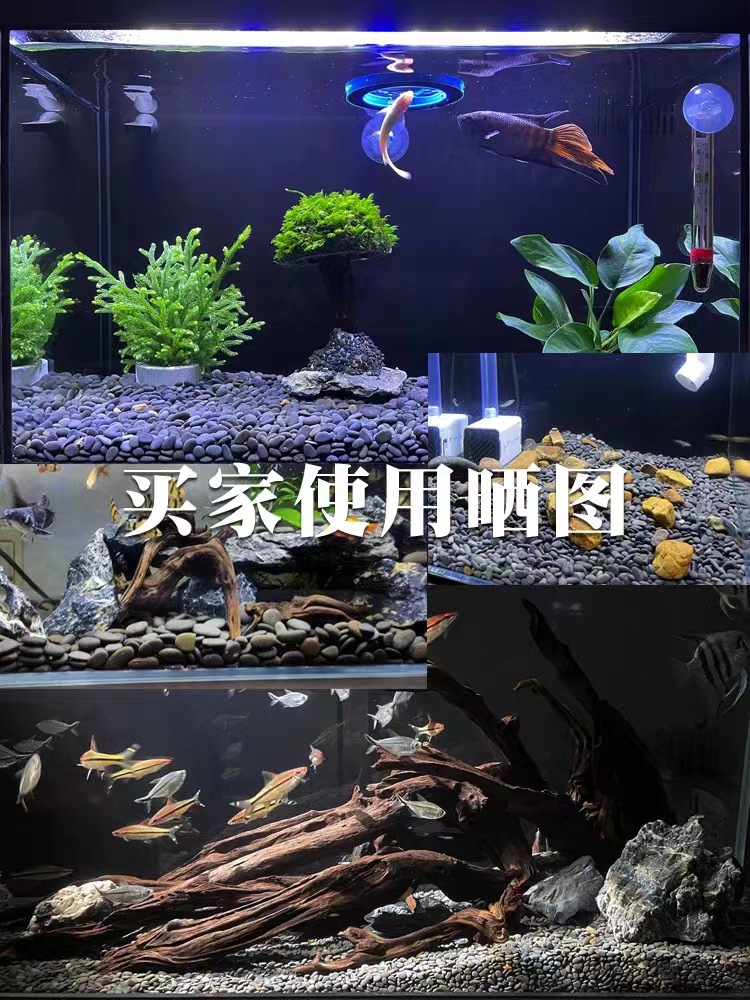 微信图片_202307171558362