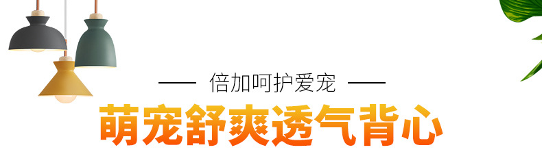 详情--拷贝_01.jpg