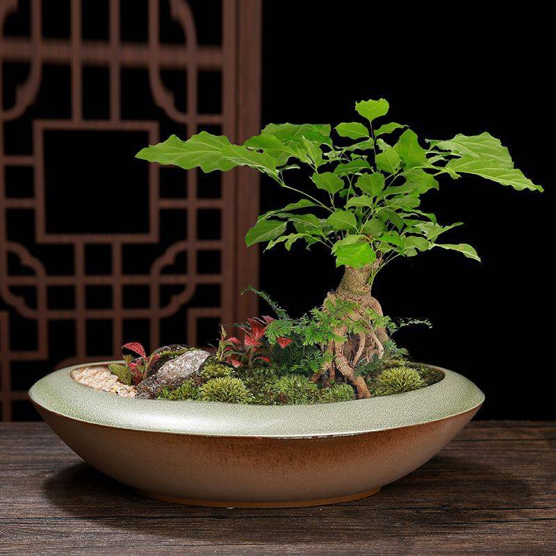 QQ图片20221109203252