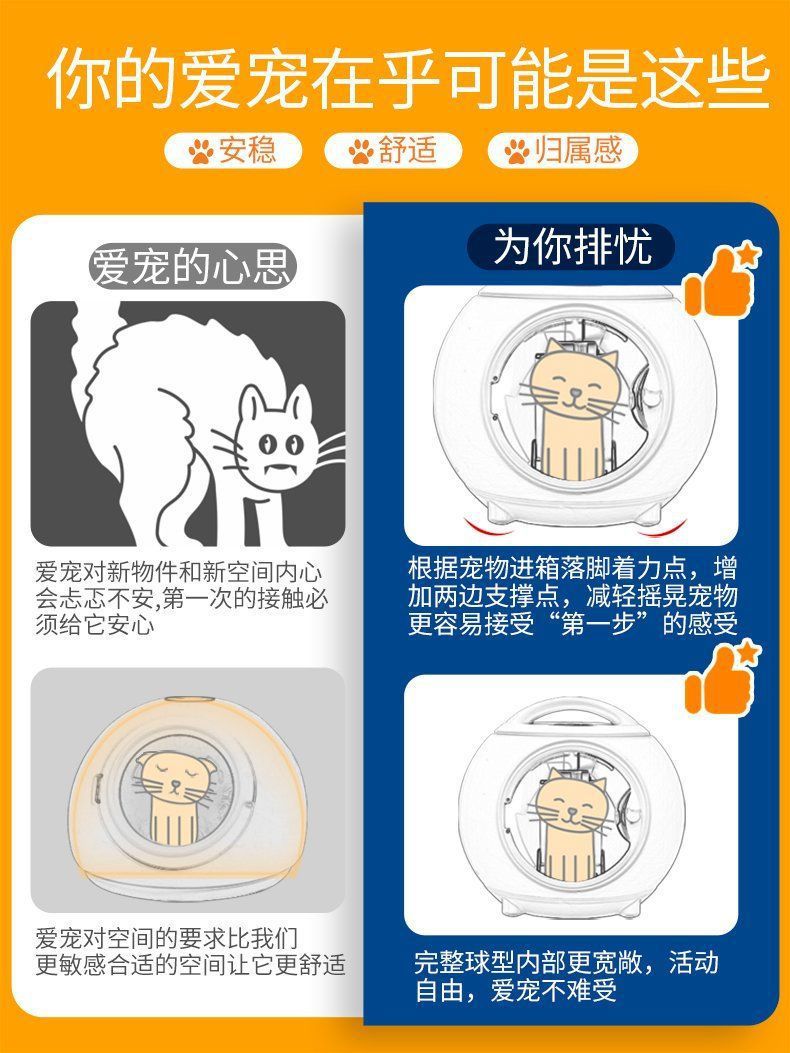 178b759d-a4c4-401c-a80e-8f7bca34d6de.jpe