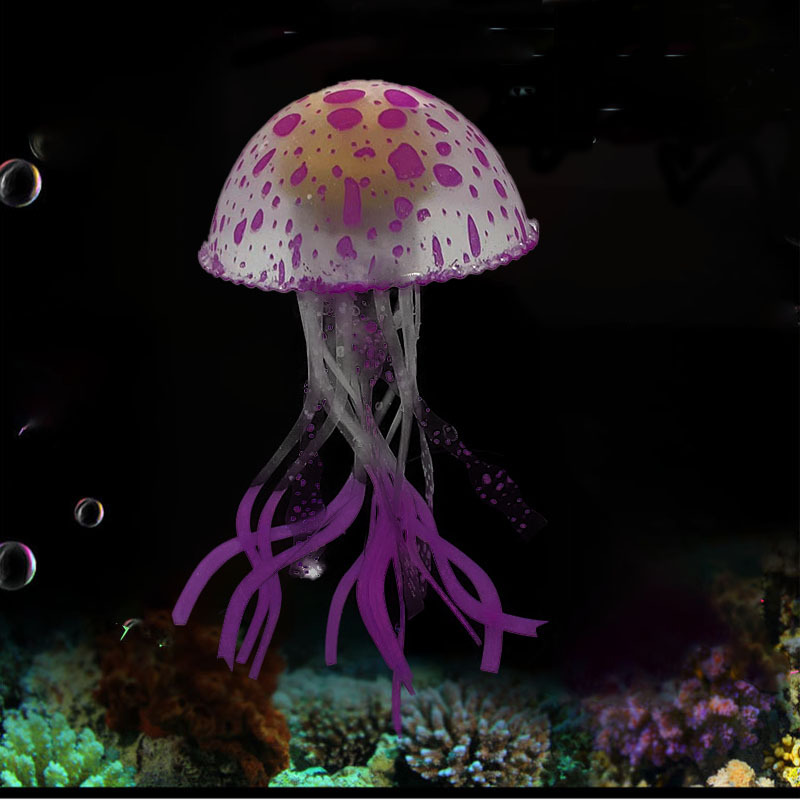 紫色水母.jpg