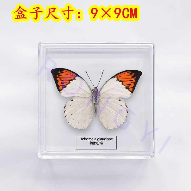 2404eff8-90fa-46ed-bce7-e955d75437f0.jpe