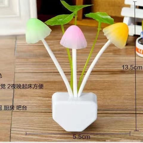 b21f261b-8143-4228-befe-80e11687fd1f.jpe