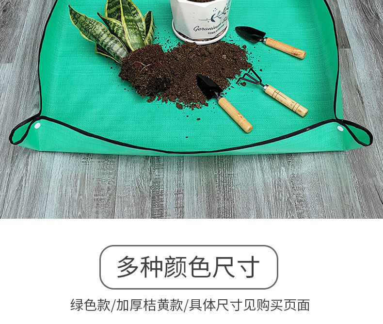 9113d996-692d-4b3d-b973-5eb8162c24e9.jpe