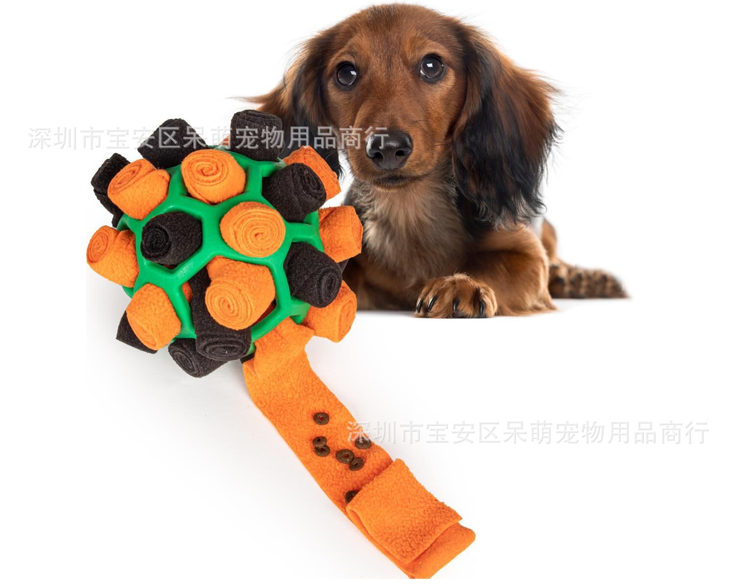 QQ图片20230330083434