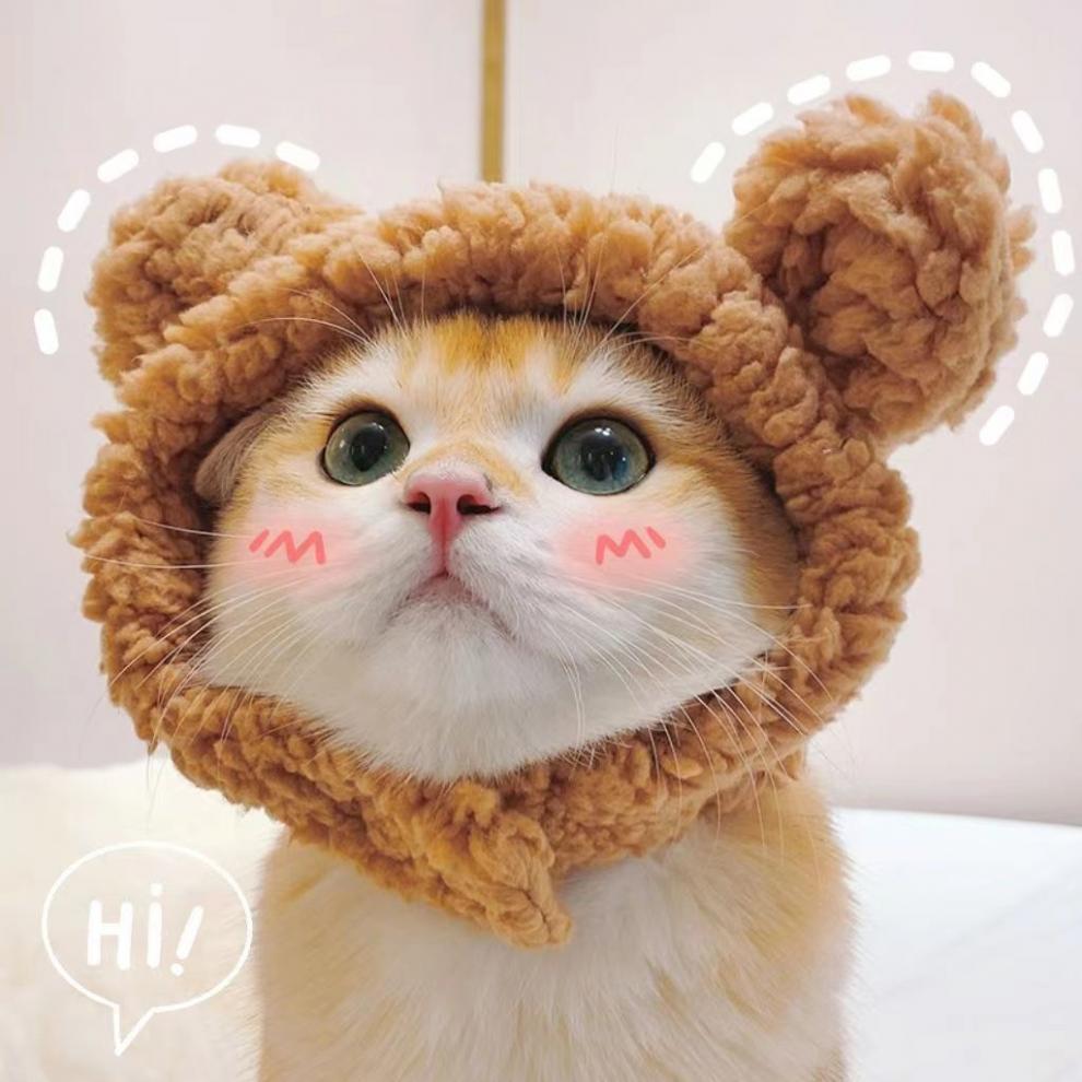 7f8d6b75-b46e-461e-be19-98967ce9559a.jpe