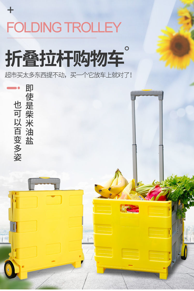 折叠拉杆车1