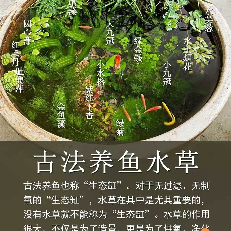 51c380d2-ef8d-4e5f-84dc-e810eed9e06d.jpe