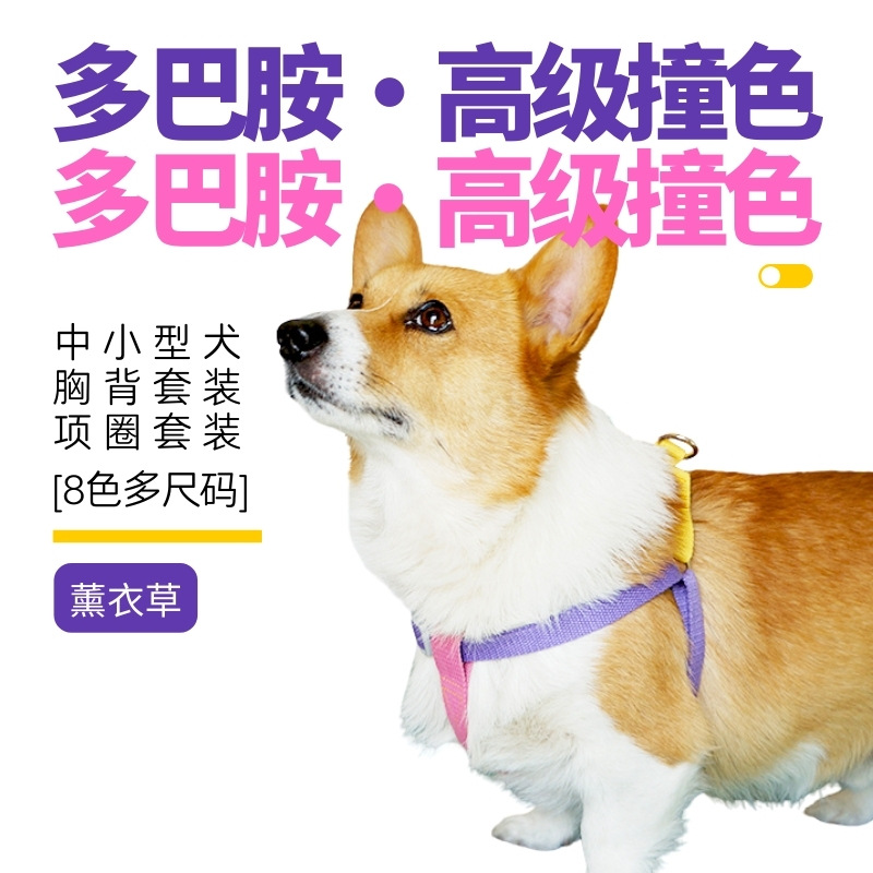 多巴胺撞色 (9).jpg