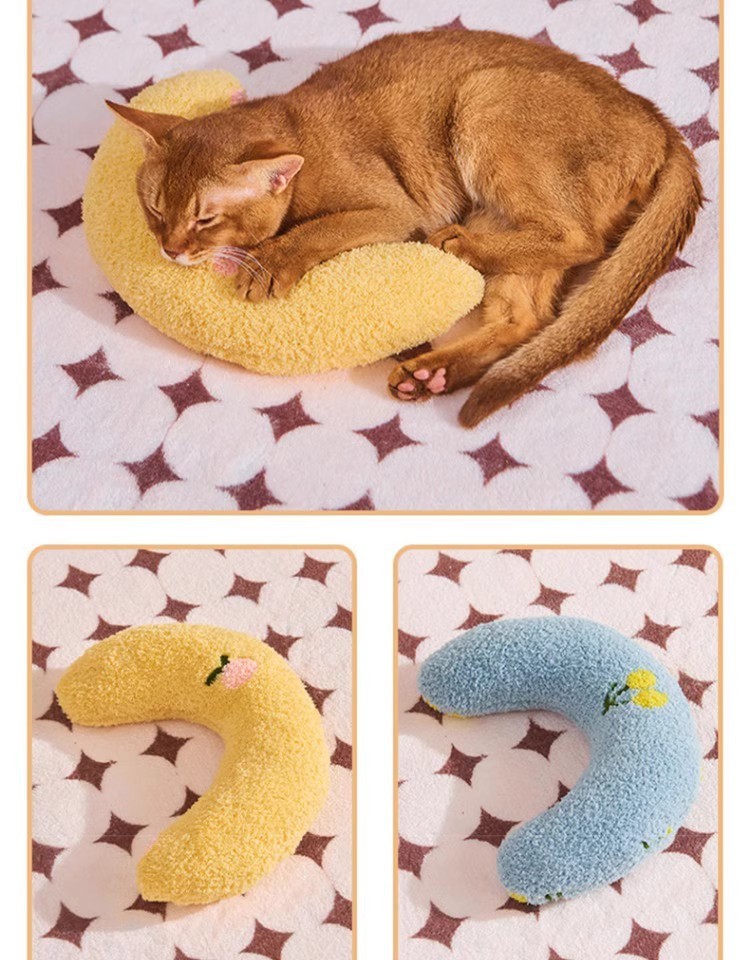 96545e69-24bc-4a45-9685-598ced002d56.jpe