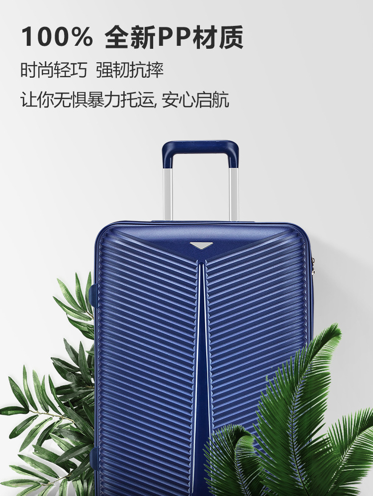 PP_12(1.1).jpg