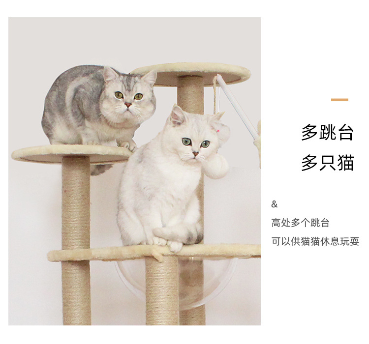 详情页_06.jpg