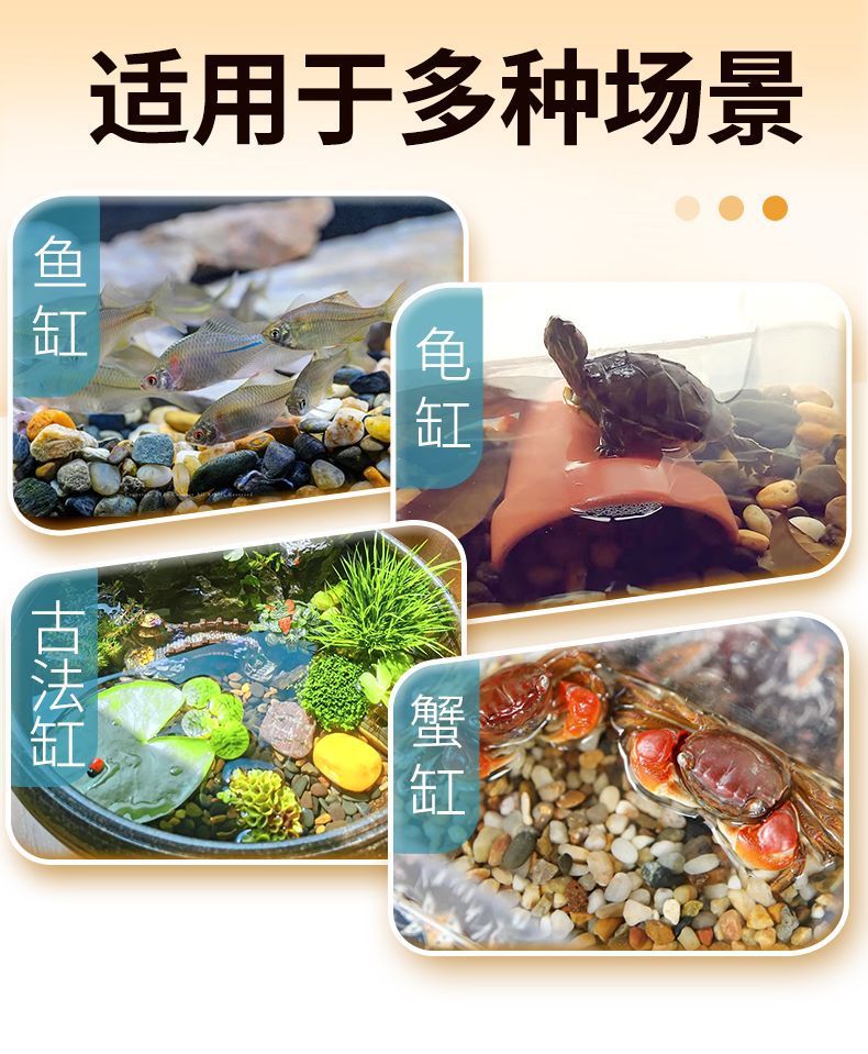 1fc6da8e-da19-466f-8144-42d860ae3d2b.jpe