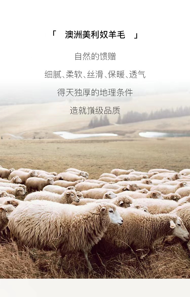 美丽诺羊毛01