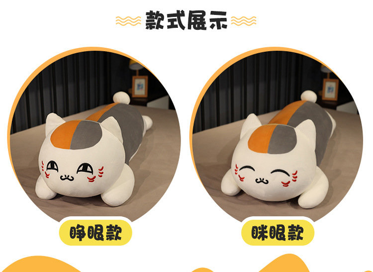 35-毛老师抱枕