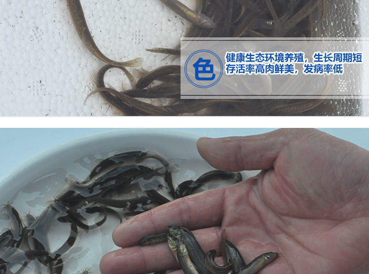 fb38e423-787f-4367-9e1d-a3c799ca66e3.jpe