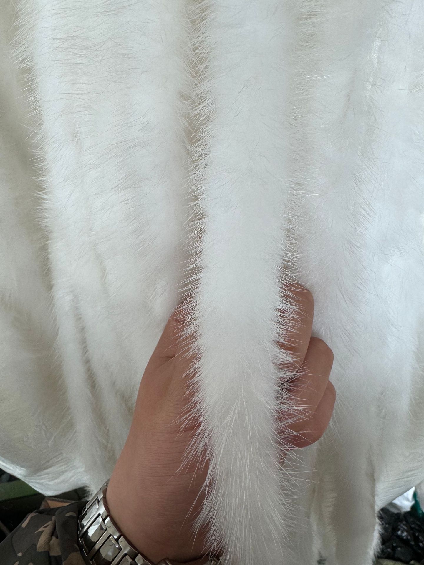 ab5625983767bc9285f7030fe5e9ad